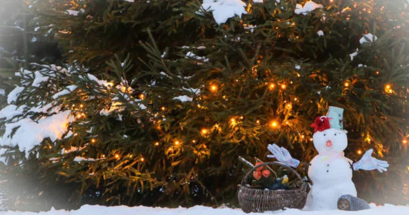 100 ден астам жол апаты тіркелді : Астанадағы көктайғақтың кесірінен тұрғындар әбігерге түсті