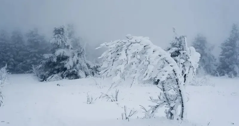 Қар жауып, боран соғады . Синоптиктер 2 қаңтарға арналған ауа райы болжамын жариялады