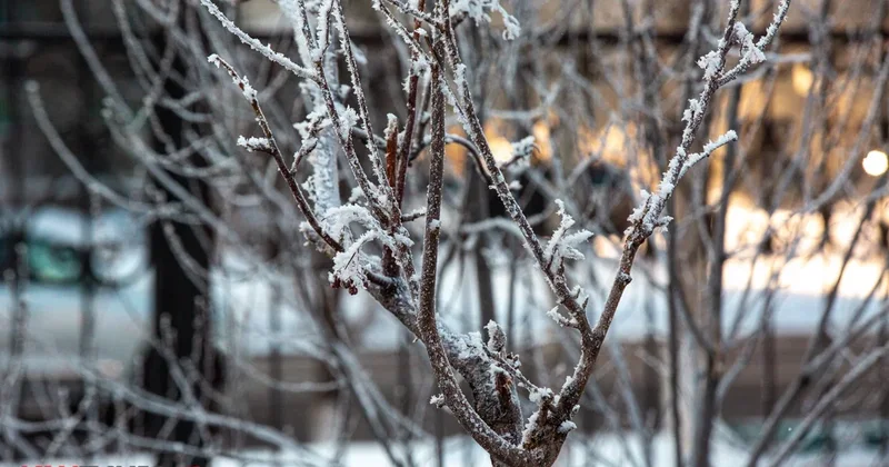 Февраль будет аномальным: что ждёт Казахстан в последний месяц зимы