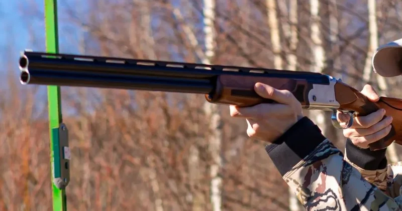 Бурабай тұрғынының иттерге атқан оғы әріптесіне тиді