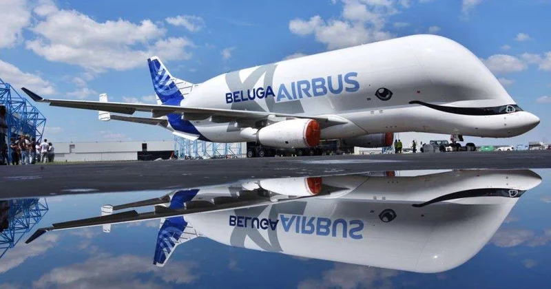 Последний полет: легендарный Airbus Beluga отправился на пенсию