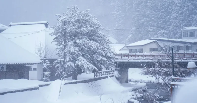 Жапонияда жауған қалың қар салдарынан 23 адам қаза тапты