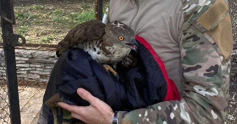 Ақтөбеде иен даладағы жабайы аң құсты қорғау мекемесін ашу ұсынылды