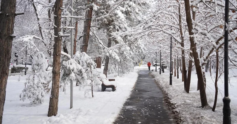 Какой будет погода в мегаполисах Казахстана в первый день февраля