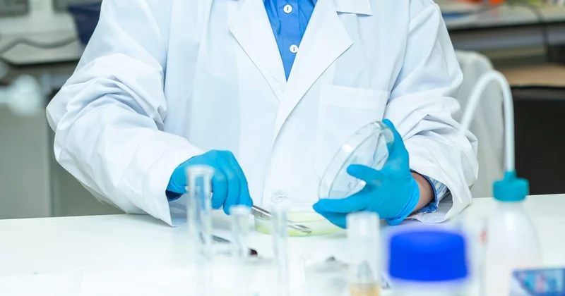 Жапонияда пісу мерзімін басқаруға болатын қауын түрі шығарылды