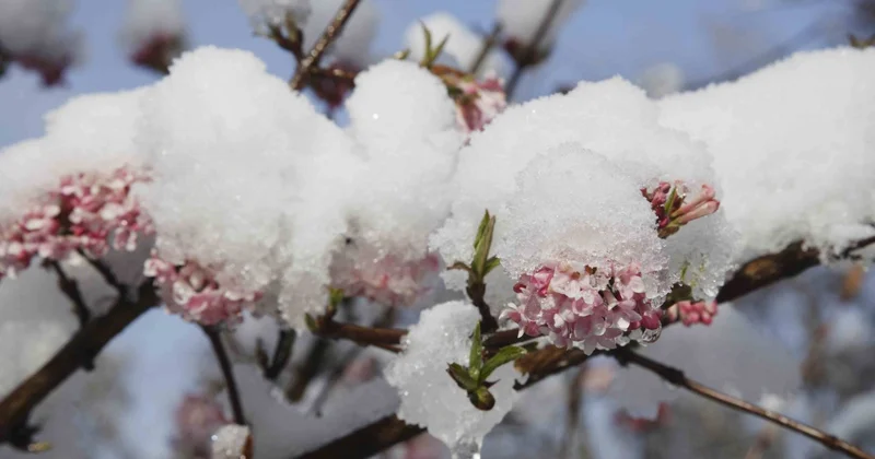 Дождь и снег прогноз погоды на 1 марта
