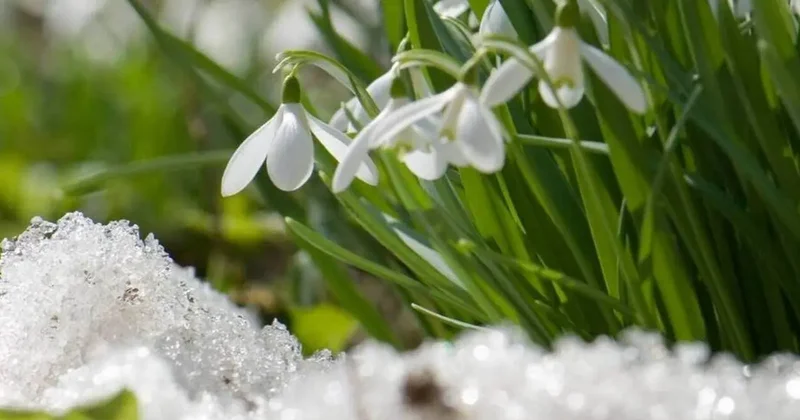 Март 2026 года ожидается тёплым и дождливым. "Казгидромет" представил прогноз погоды на месяц