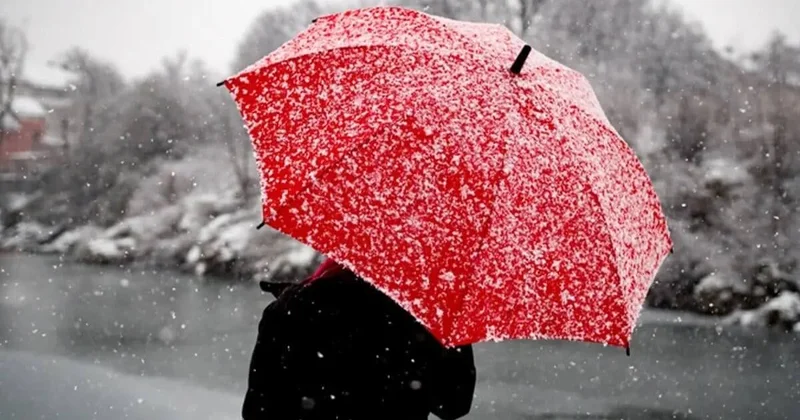 Шымкент ждут заморозки, дожди и туман уже с 2 марта