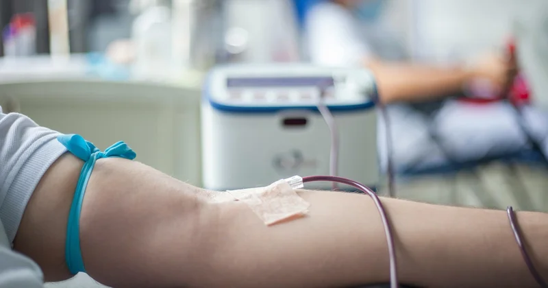 Зардап шеккендерге қан жеткілікті: дәрігерлер ақмолалықтардан дүрбелең жасамауды сұрады