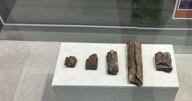 Қазақ халқының түп тамыры Жаңақорған өңірінде өмір сүрген сақ тайпаларынан тарайтыны рас па