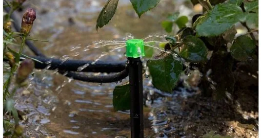 Қазақстанда су үнемдеу технологияларын енгізу қарқыны 5 есе артты