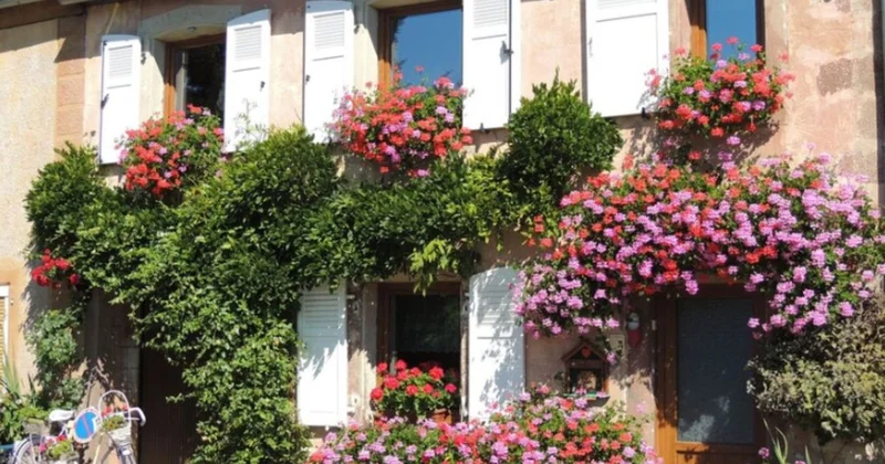 Фасады десятков домов на основных улицах приведут в порядок в Алматы