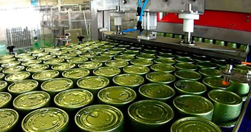 Перерабатывай и... зарабатывай