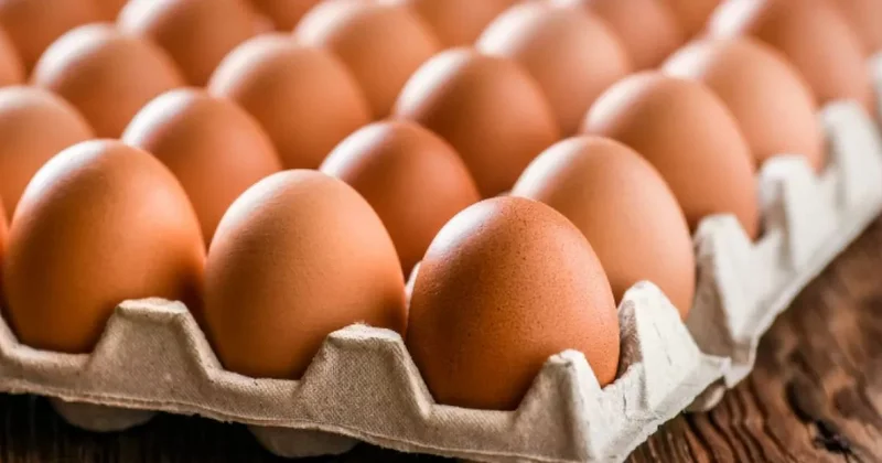 Magnum да жұмыртқа ​қаптамадағы талапқа сәйкес келмейтіні анықталды