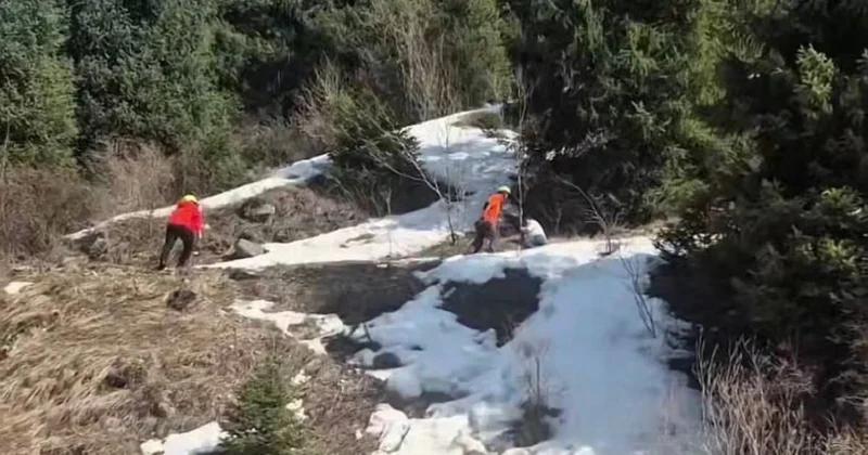 Женщина с дочерью не смогли спуститься с водопадов Аюсай в Алматы (видео)