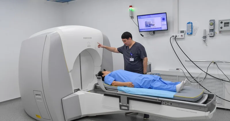 Шипа іздеп шетел асудың қажеті жоқ