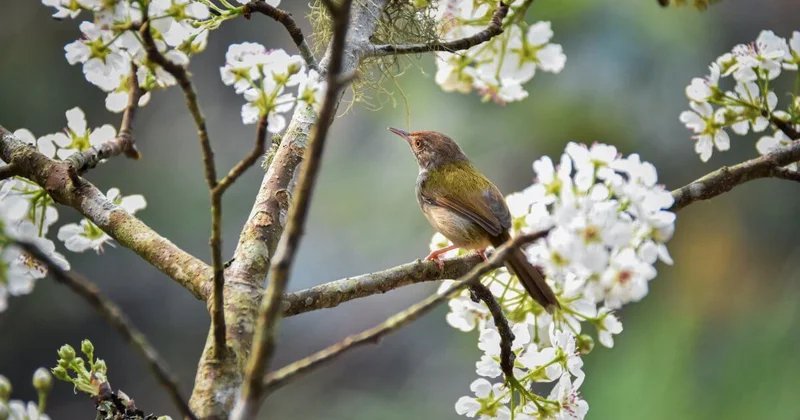 30 градусная жара ждет жителей Шымкента