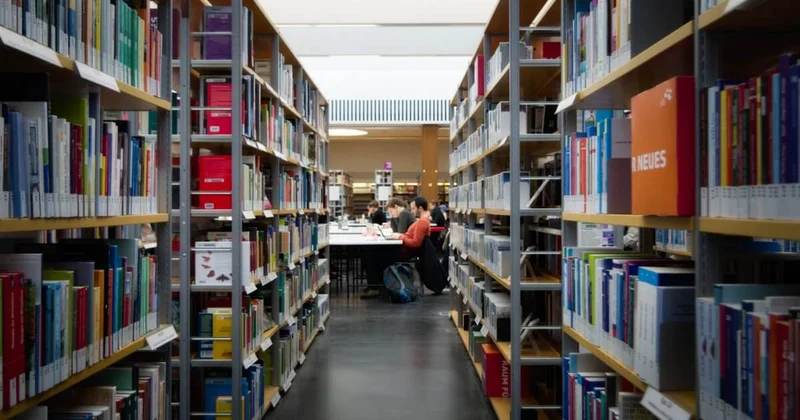 В Казахстане пересмотрят более 700 образовательных программ в вузах