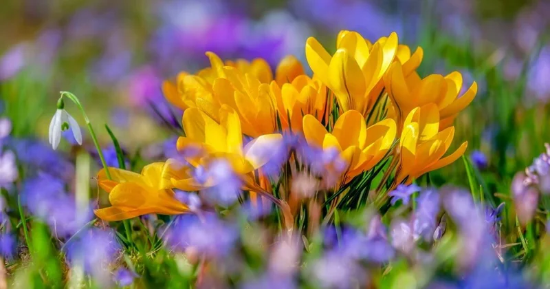 До +27 градусов и без осадков: погода в Алматы