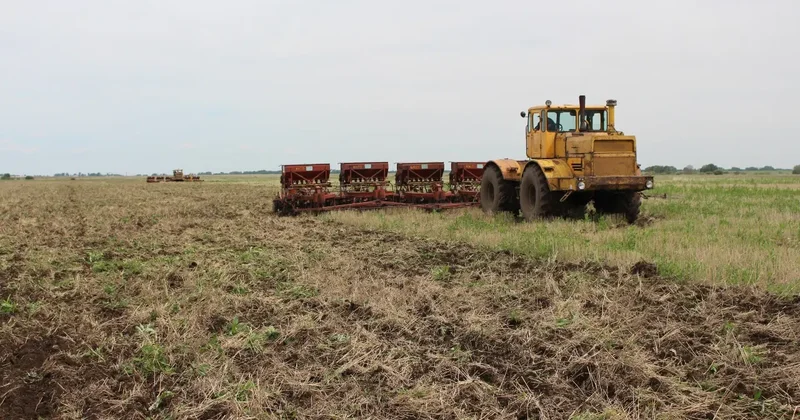 Казахстану может не хватить специалистов для обеспечения продовольственной независимости депутат