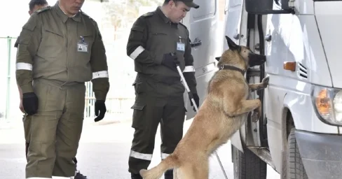 Более 40 фактов попыток перевоза наркотиков пресечено на госгранице Казахстана