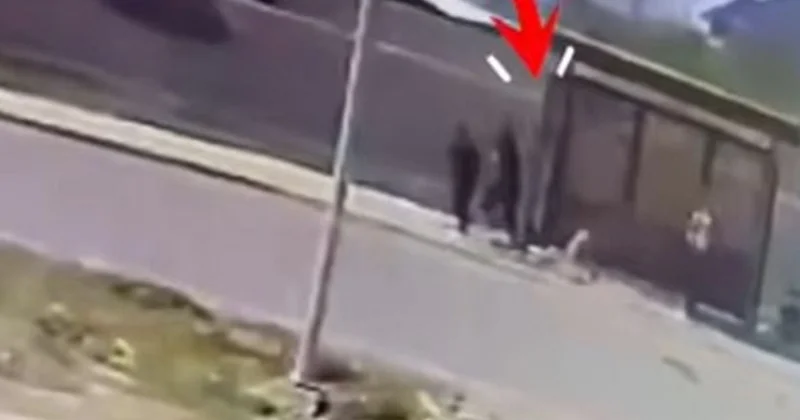 Родителям подростков пришлось возмещать ущерб от погрома в Туркестане