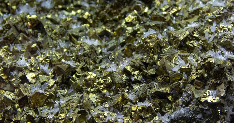 Производство стоимостью 11,2 млрд тенге не могли запустить полгода прокуроры решили вопрос за 20 дней