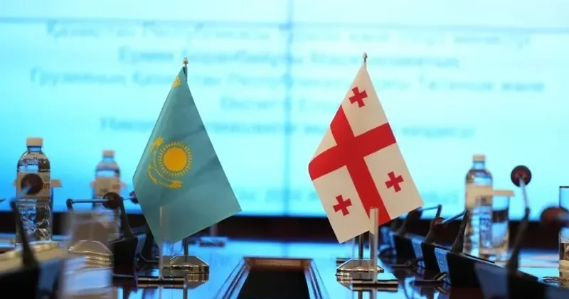 Грузияда ұсталған қазақстандықтар: ІІМ ресми мәлімдеме жасады