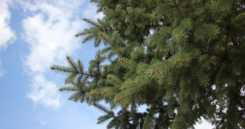 О погоде в Казахстане на первые дни апреля сообщили синоптики