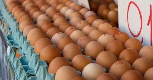 Талдықорғанда тауық жұмыртқасы қаптамада көрсетілген салмаққа сәйкес болмай шыққан