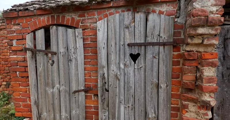 Аузына топырақ толтырып, әжетханаға тастаған: 24 жыл бұрын жасалған қылмыс ашылды