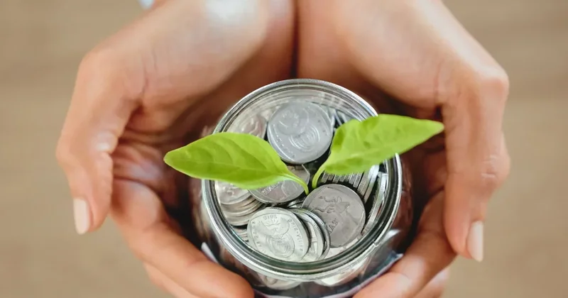 Повышать или понижать: банки не определились, что делать со ставками по депозитам