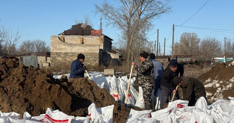 Лягушек вёдрами выносили…