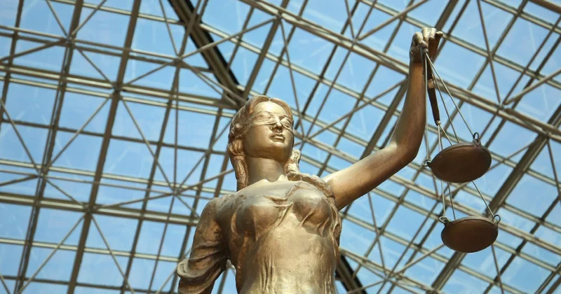 В суде взыскали алименты для девочки, потерявшей мать и брата