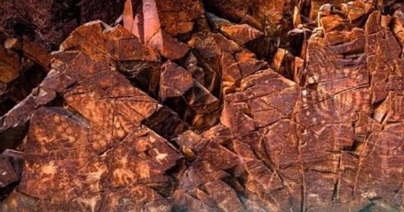 Петроглифы Таңбалы представят в Нацмузее имени А. Кастеева в Алматы