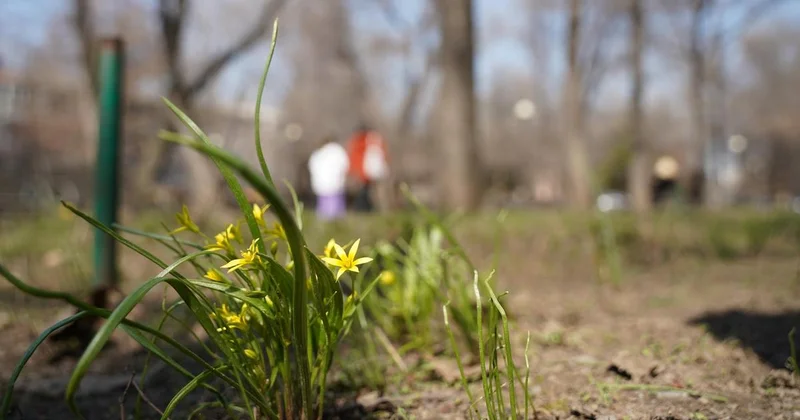 Южный циклон надвигается на Казахстан: какой будет погода до конца недели