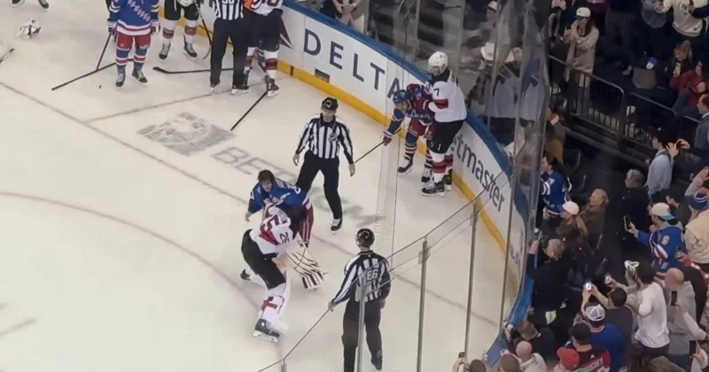 Российский вратарь избил шведского игрока во время матча НХЛ