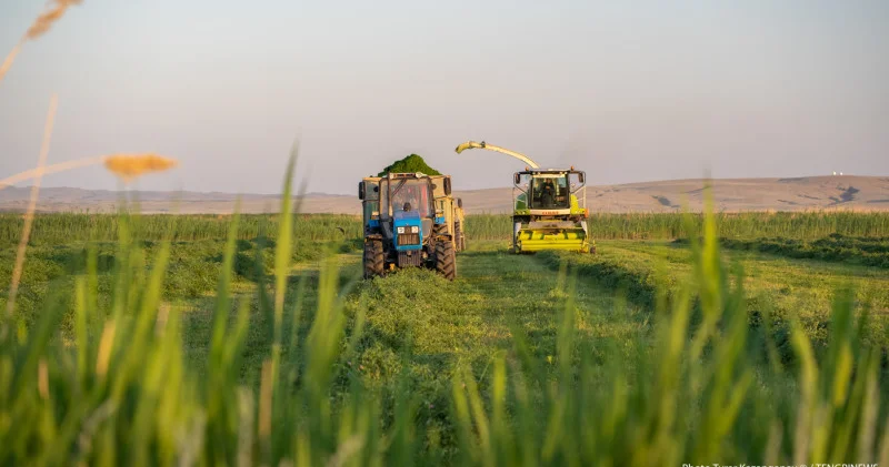Қазақстанда агросаладағы кадр тапшылығы азық түлік қауіпсіздігіне қауіп төндіруі мүмкін депутат