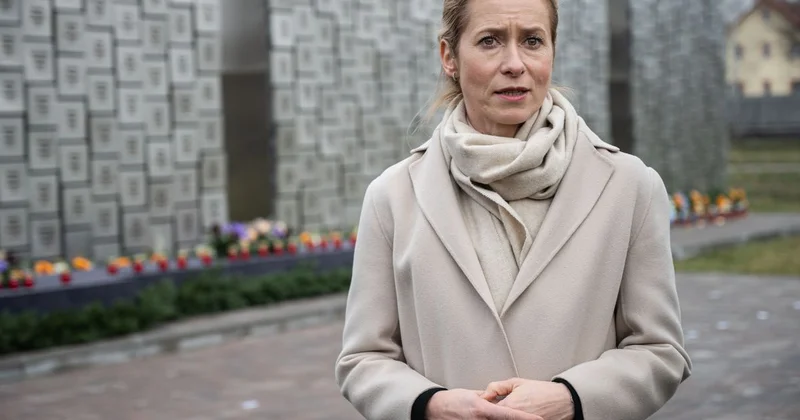 Можно быстрее : глава дипломатии ЕС высказалась о спецтрибунале для Путина