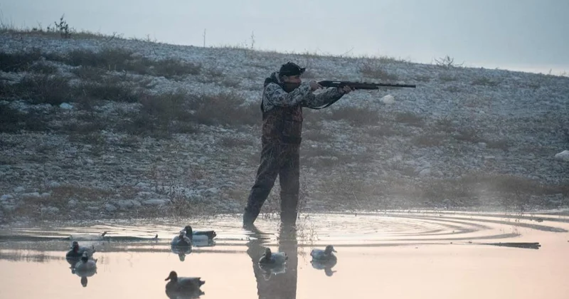 Павлодар облысында көктемгі мезгілде қандай құстарды аулауға болады