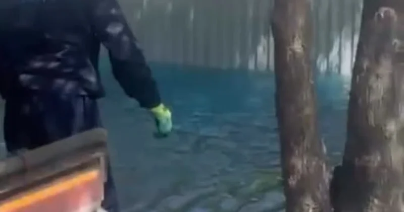 Фонтандағы судың боялуы алматылықтардың ашуын туғызды әкімдік жағдайды түсіндірді