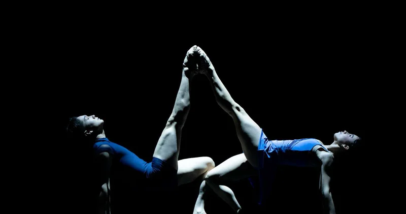 Видеть в танце призвание