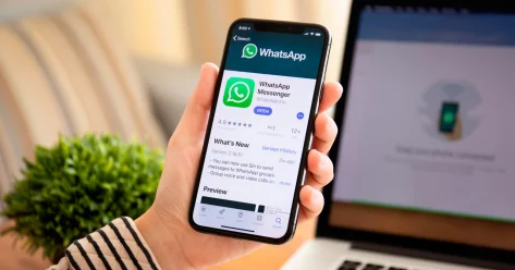 Никнейм вместо номера телефона можно будет указать в WhatsApp