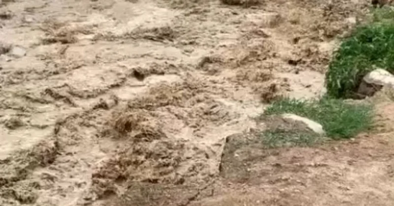 Эвакуация не потребовалась МЧС о ситуации в Алматы. Видео