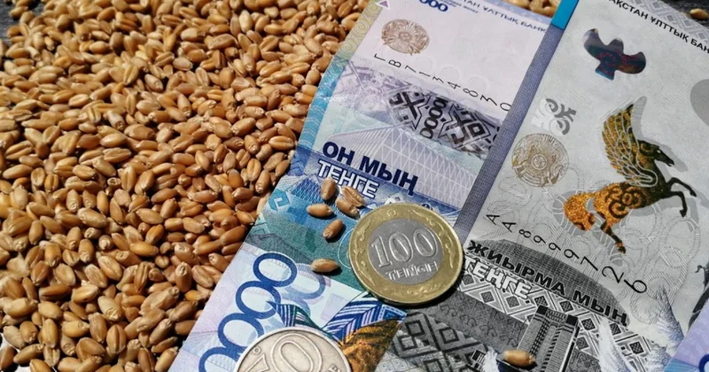 Пшеница подешевела на казахстанской бирже