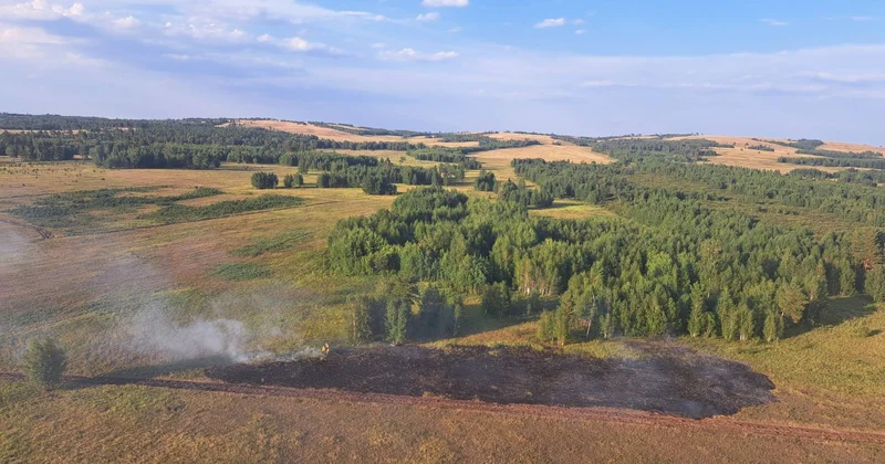 За день в Казахстане произошло семь лесных пожаров