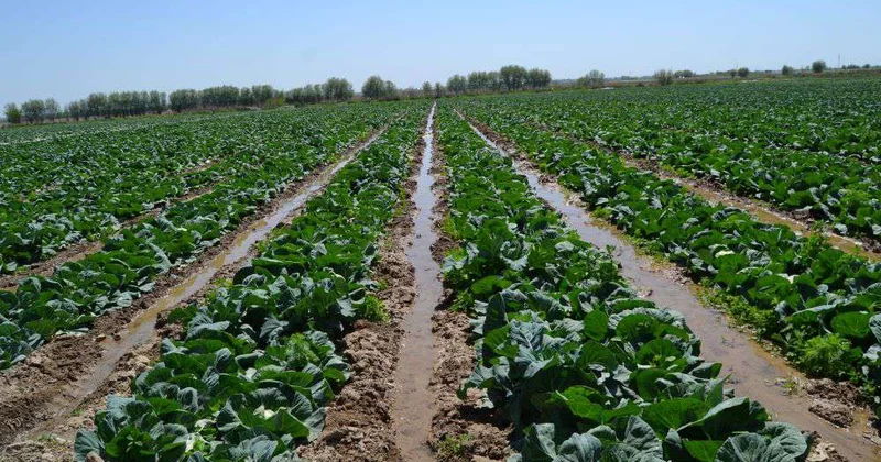 В условиях дефицита водных ресурсов