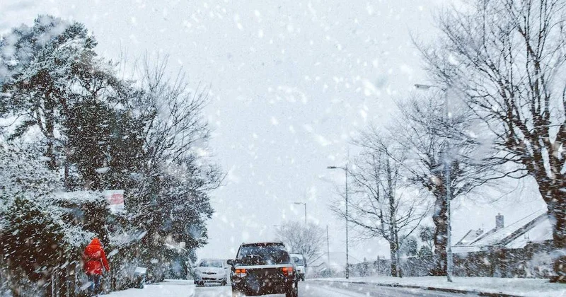 Синоптиктер қарашаның қара суығына қандай болжам жасады