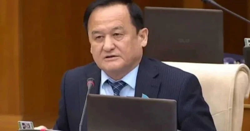 Әдебиет институтын ашу ұсынылды