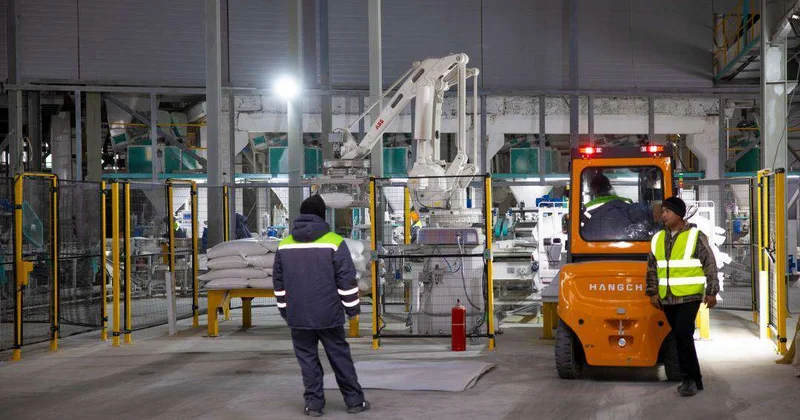 В Конаеве открыли завод по переработке пшеницы